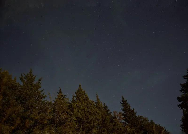 The Bear Overhead: How Ancient Star Stories Became the Navigation Systems of the Modern World