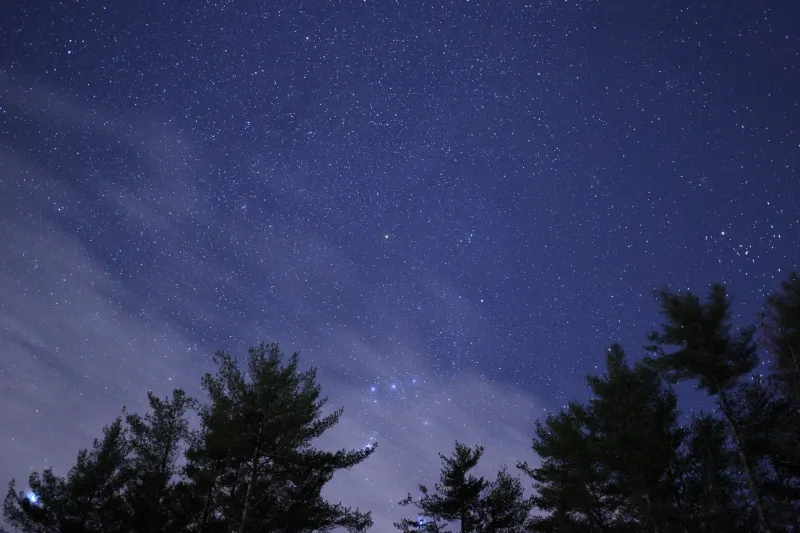 Two Bears, Ten Thousand Centuries: The Astonishing Human Story Written in Ursa Major and Ursa Minor