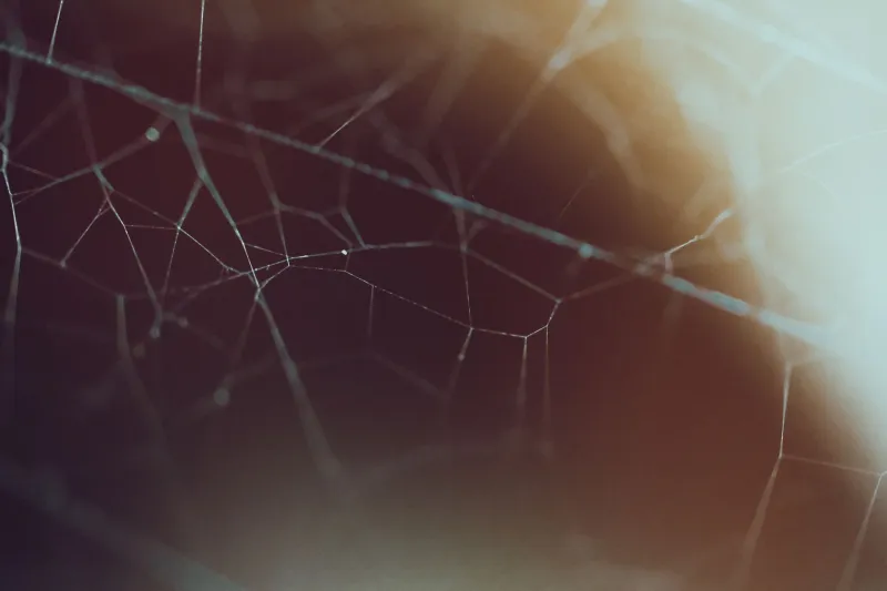 Thread by Thread: The Cosmic Web That Connects Everything You'll Never See